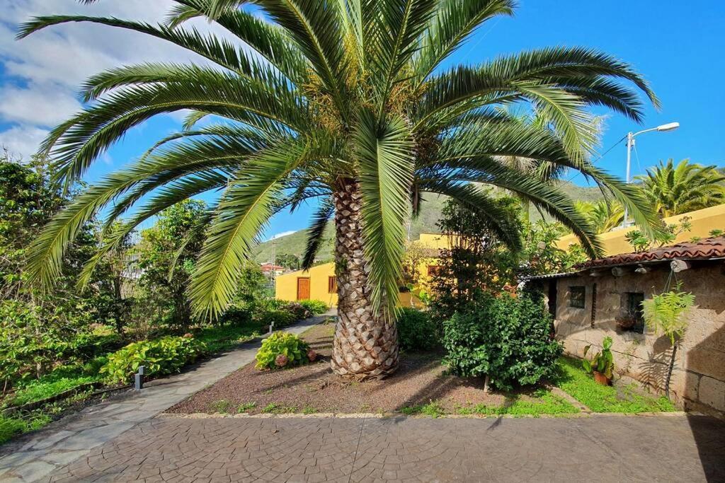 Casa Emblematica Apartman Tegueste Kültér fotó